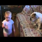 cute baby, dog, funny