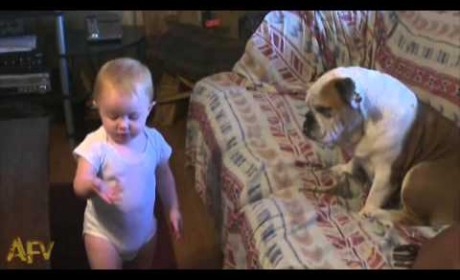 Watch This Cute Baby Arguing With Dog