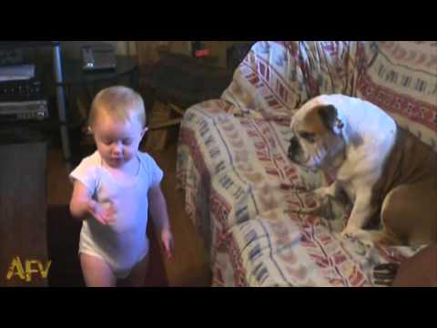 Watch This Cute Baby Arguing With Dog