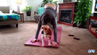 When You Think Its Yoga Time, Your Pets Think Its Cuddle Time..!!