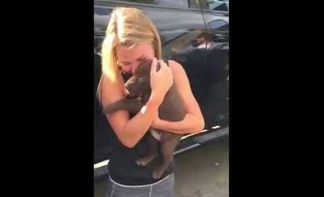WATCH: Guy Proposes To His Girlfriend With A Puppy