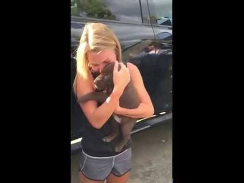 WATCH: Guy Proposes To His Girlfriend With A Puppy