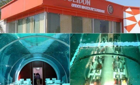 Video: India Gets Its First Underwater Restaurant
