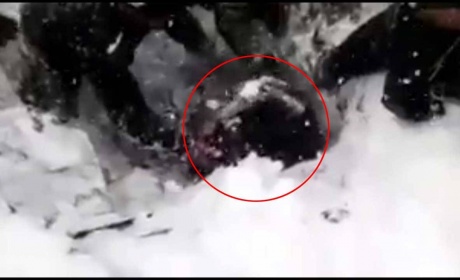 Watch This Video Of An Army Officer Being Rescued From Siachen Avalanche, After 6 Days